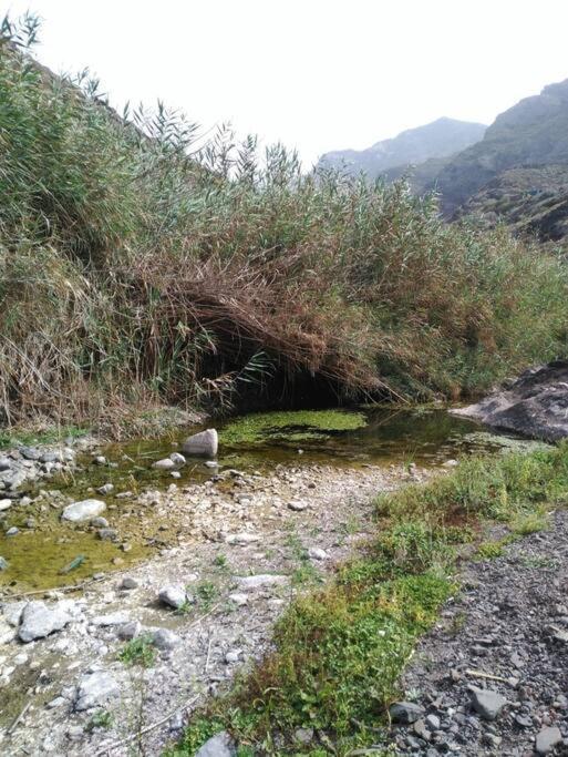 Monte Verde Chinamada ภายนอก รูปภาพ
