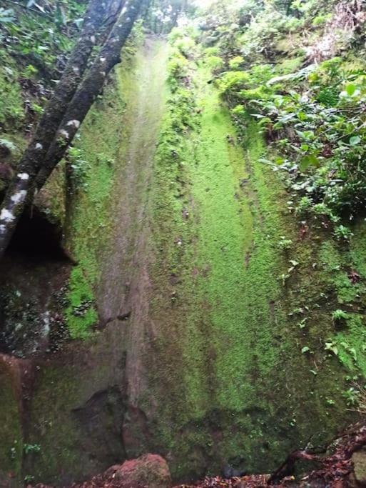Monte Verde Chinamada ภายนอก รูปภาพ