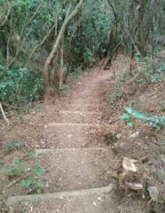 Monte Verde Chinamada ภายนอก รูปภาพ