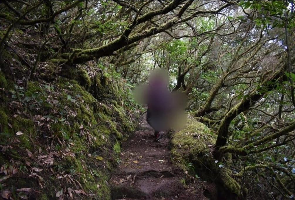 Monte Verde Chinamada ภายนอก รูปภาพ